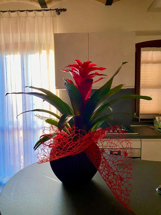 B&B Terrazza Sul Borgo Mogliano Eksteriør bilde